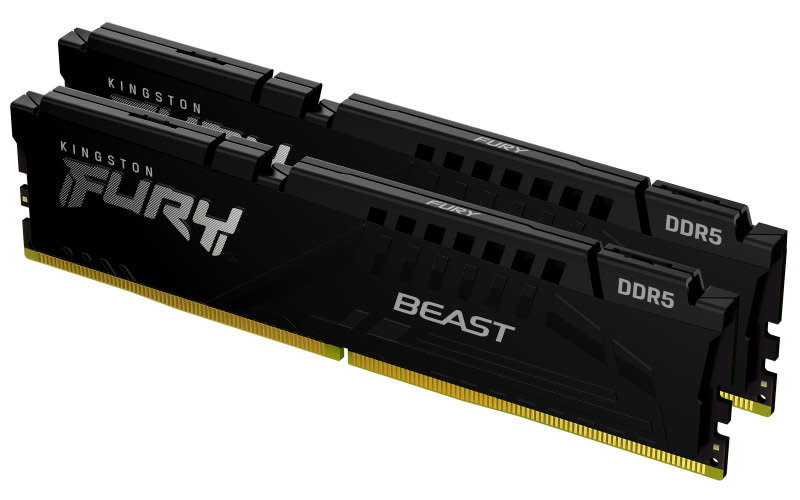 Kingston Fury Beast DDR5(top best Ram)